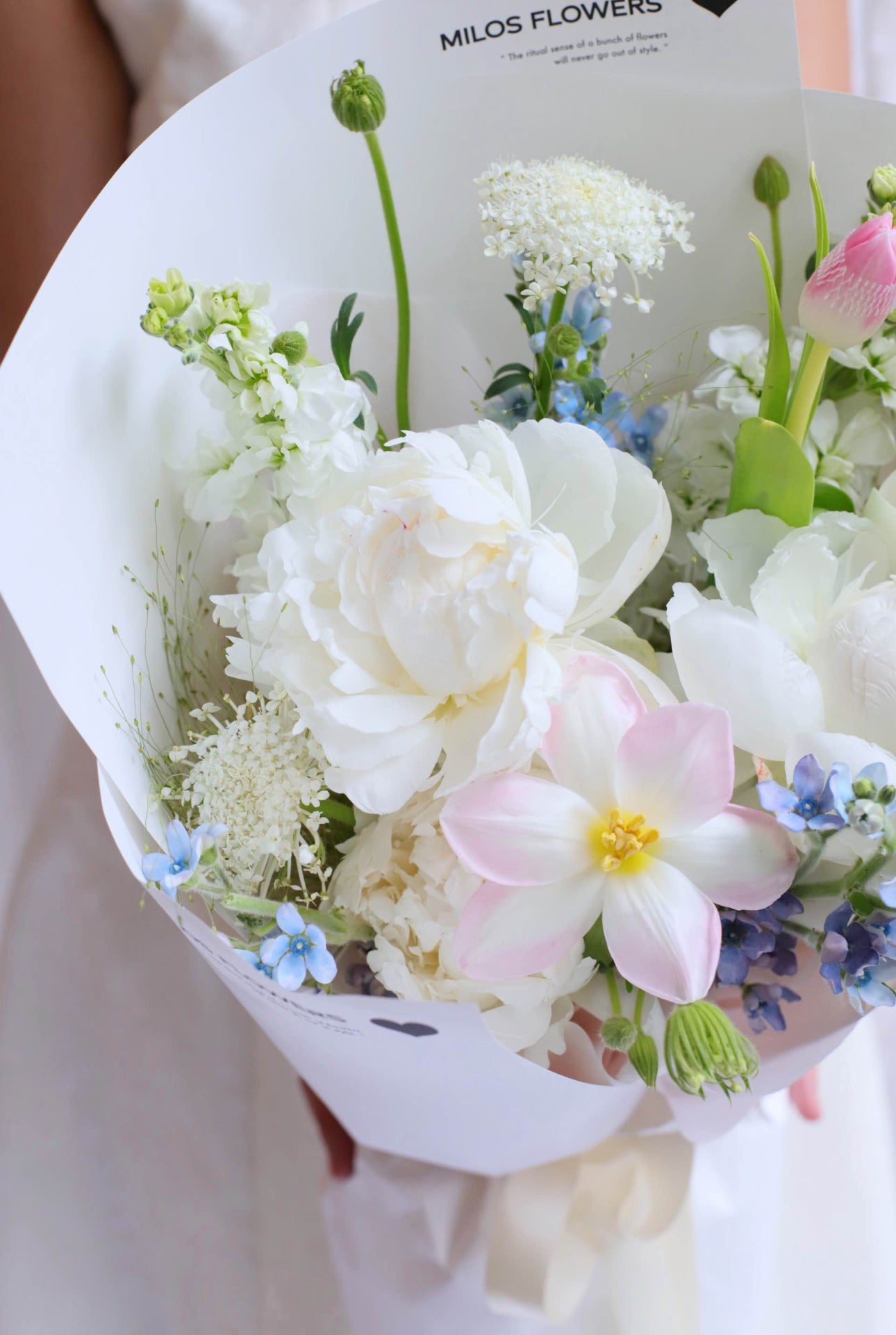 HEARTS AND PEONIES (Imported or Holland Peonies)