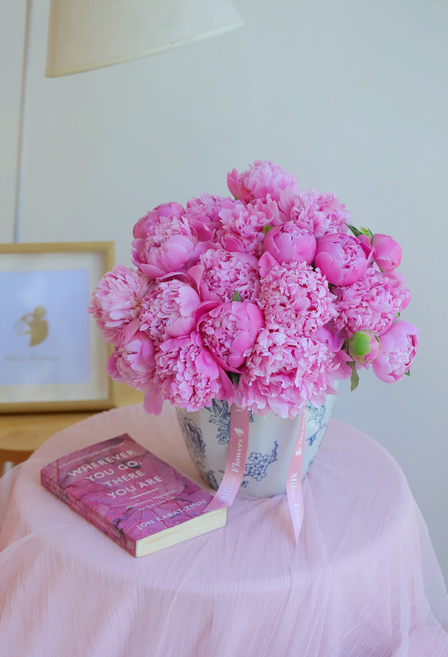 GARDEN OF PEONY