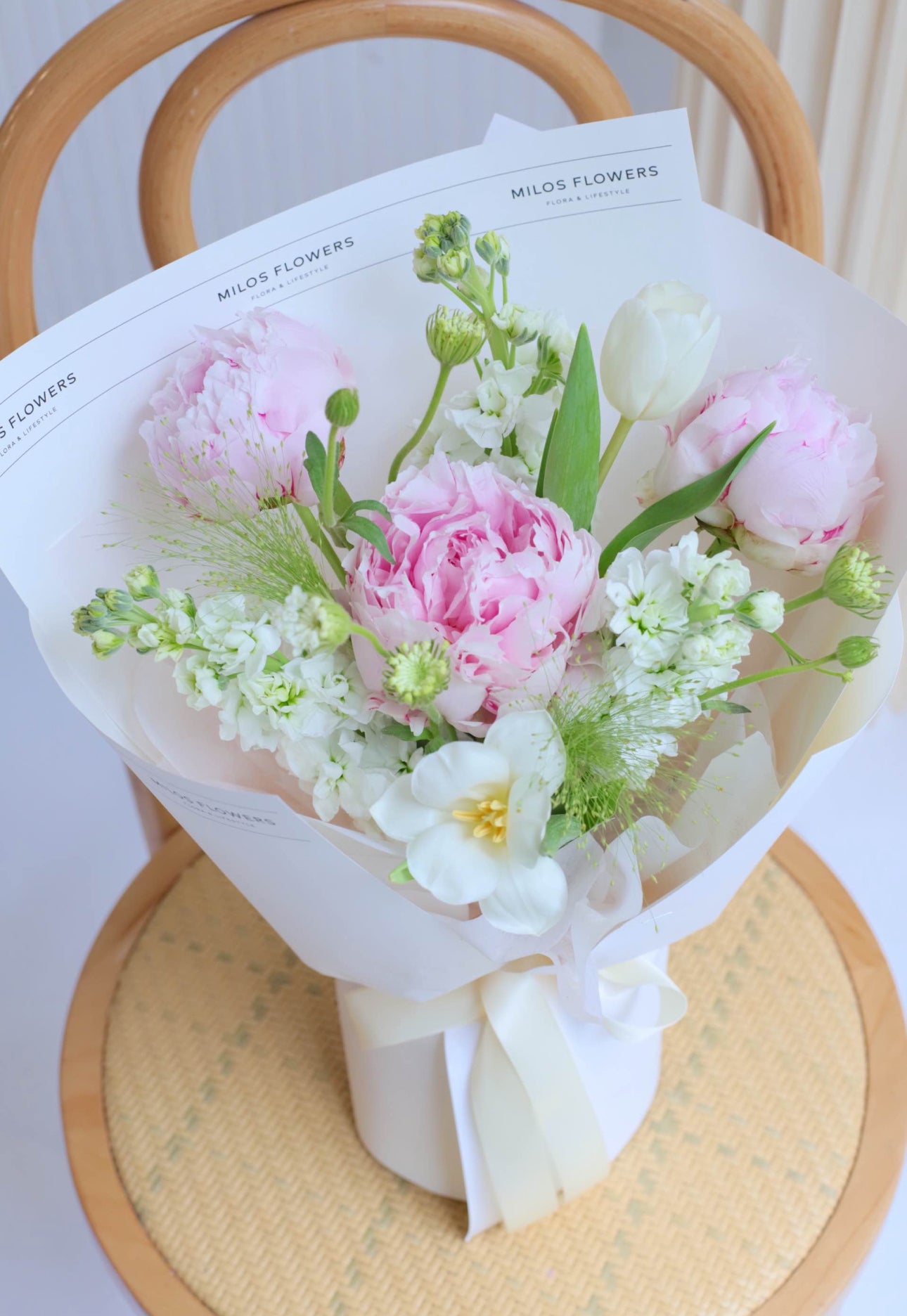 RADIANT PEONIES (Imported or Holland Peonies)