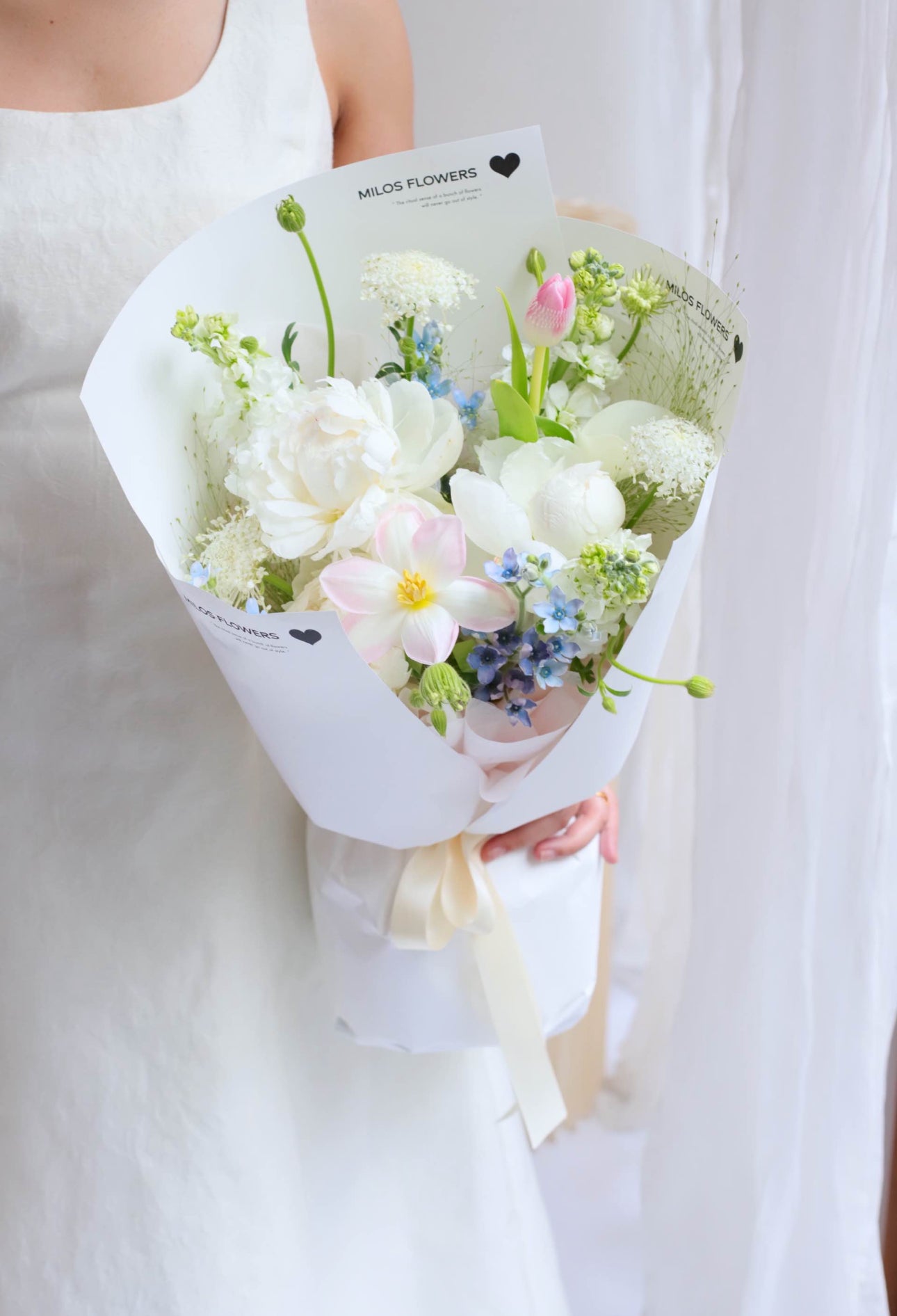 HEARTS AND PEONIES (Imported or Holland Peonies)
