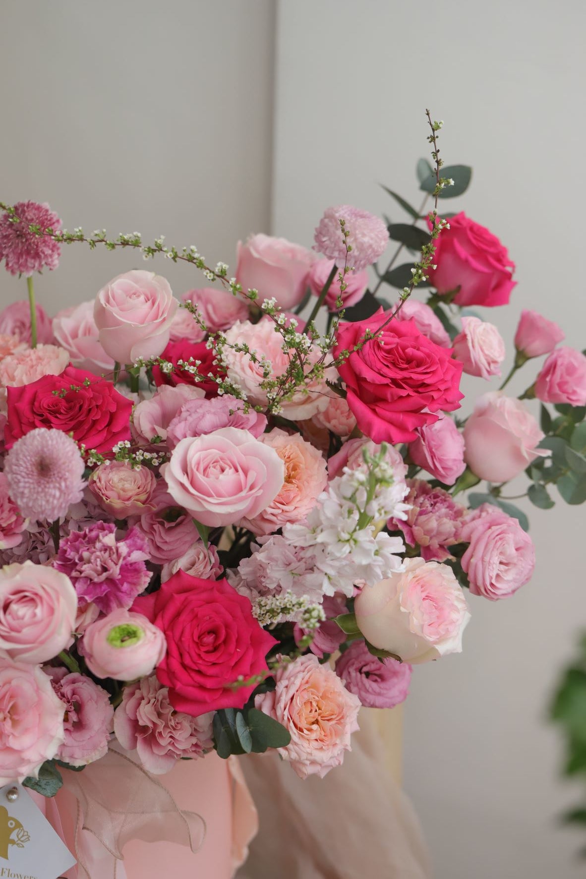 PINK PERFECTION