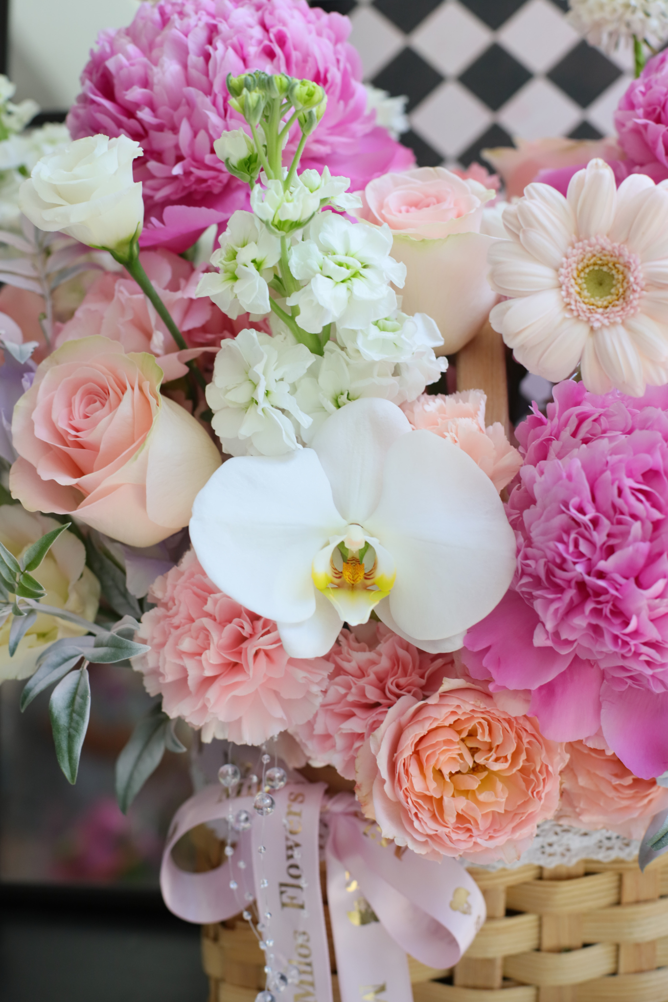 BLOOM BURST