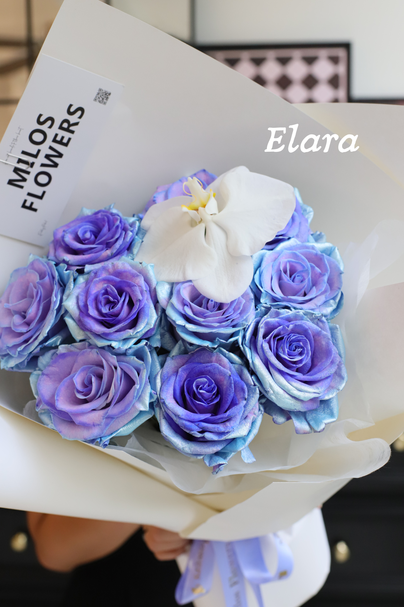ECUADORIAN ROSES