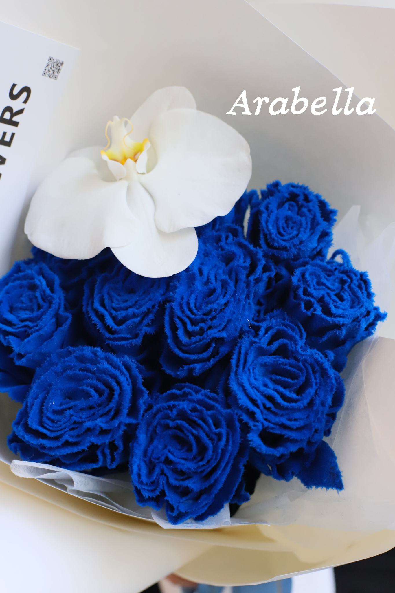 ECUADORIAN ROSES