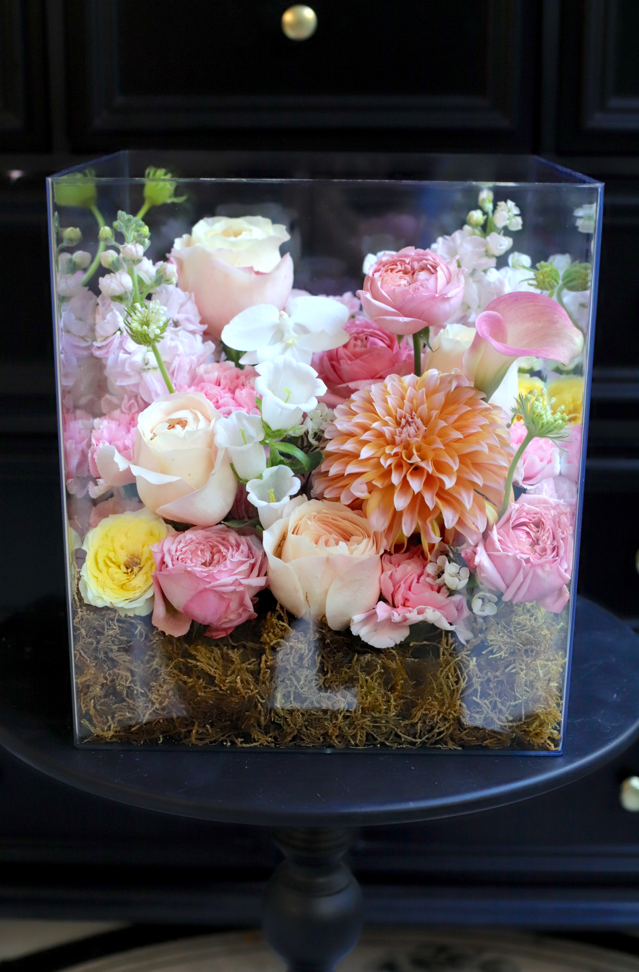 BLUSH GARDEN