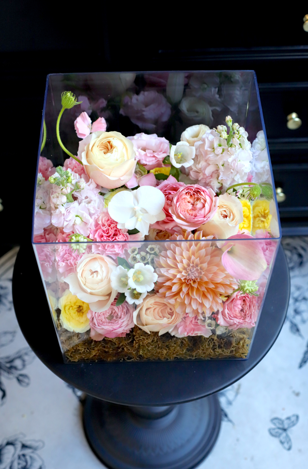 BLUSH GARDEN