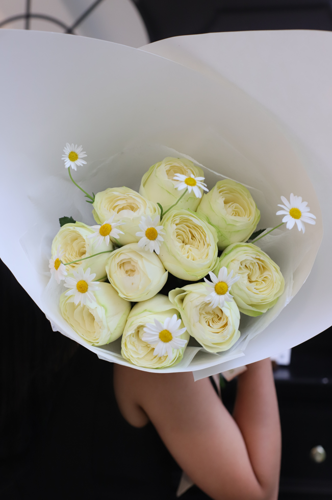 COTTON ROSE