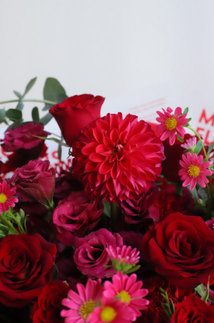 RED THOUGHTFUL SURPRISE