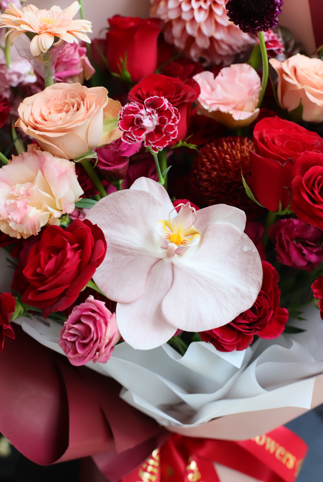 GARDEN OF ROSES