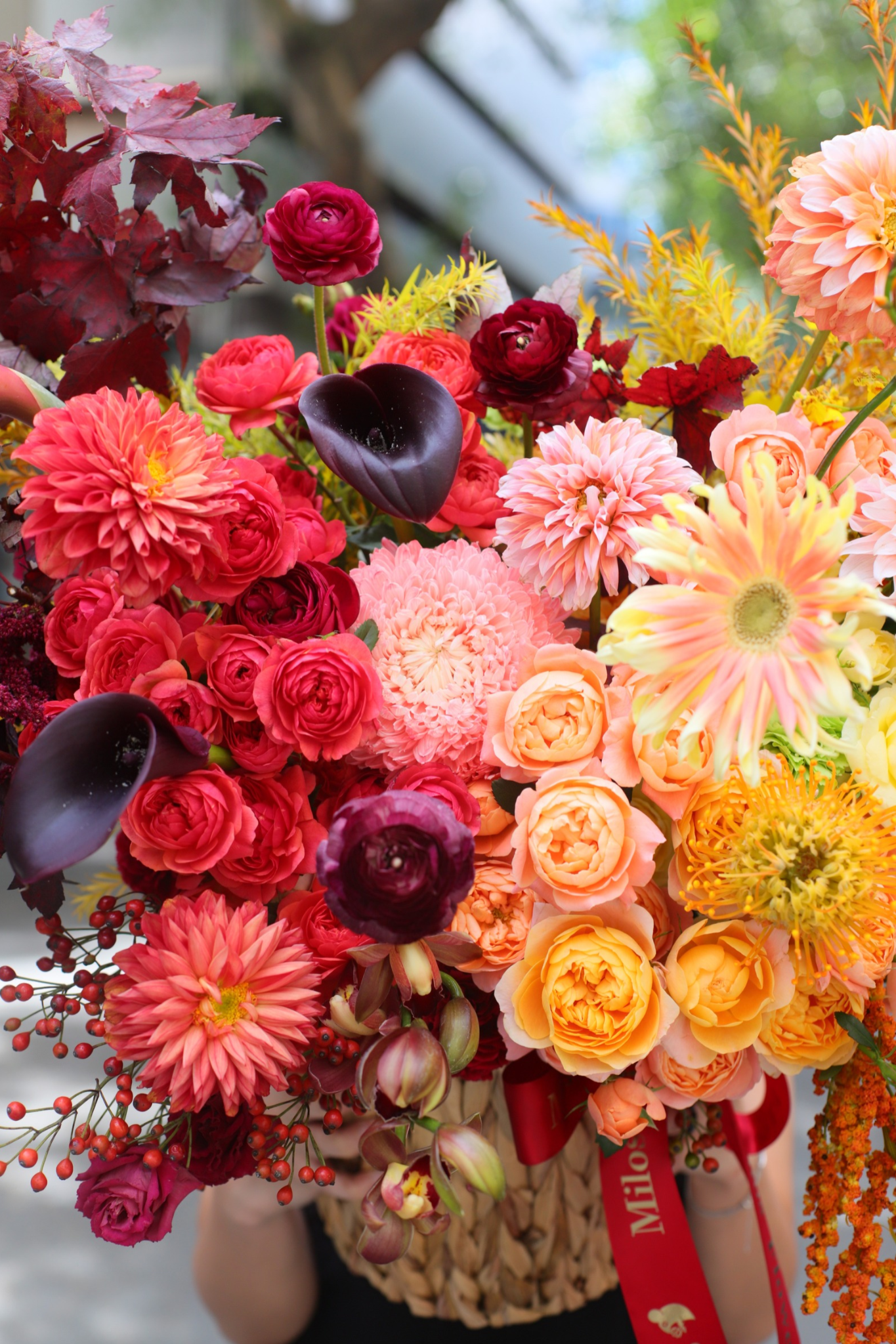 WITCHY BLOOMS