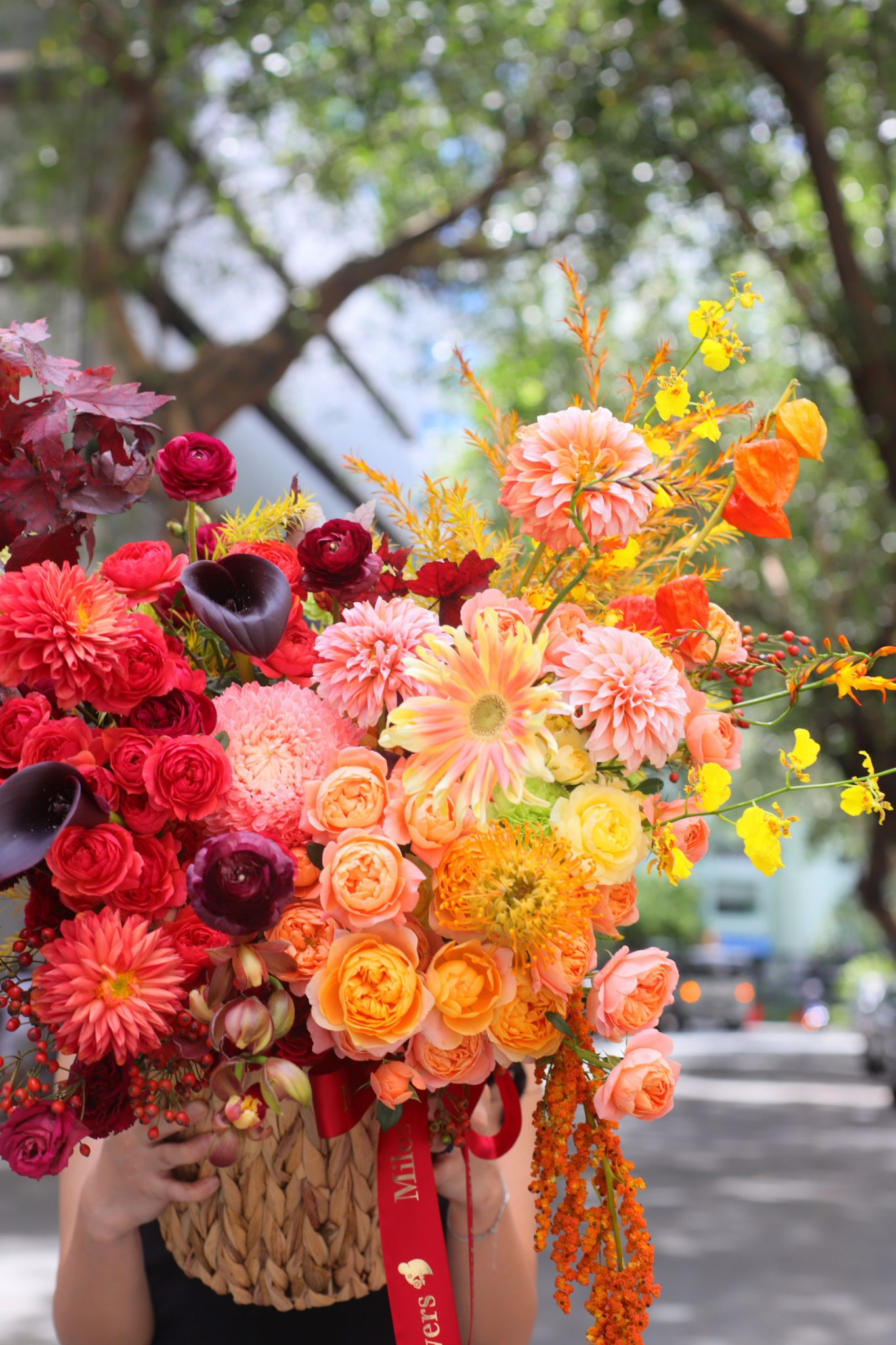 WITCHY BLOOMS