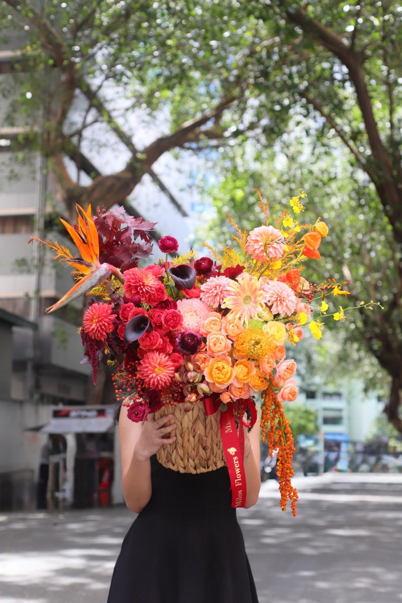 WITCHY BLOOMS